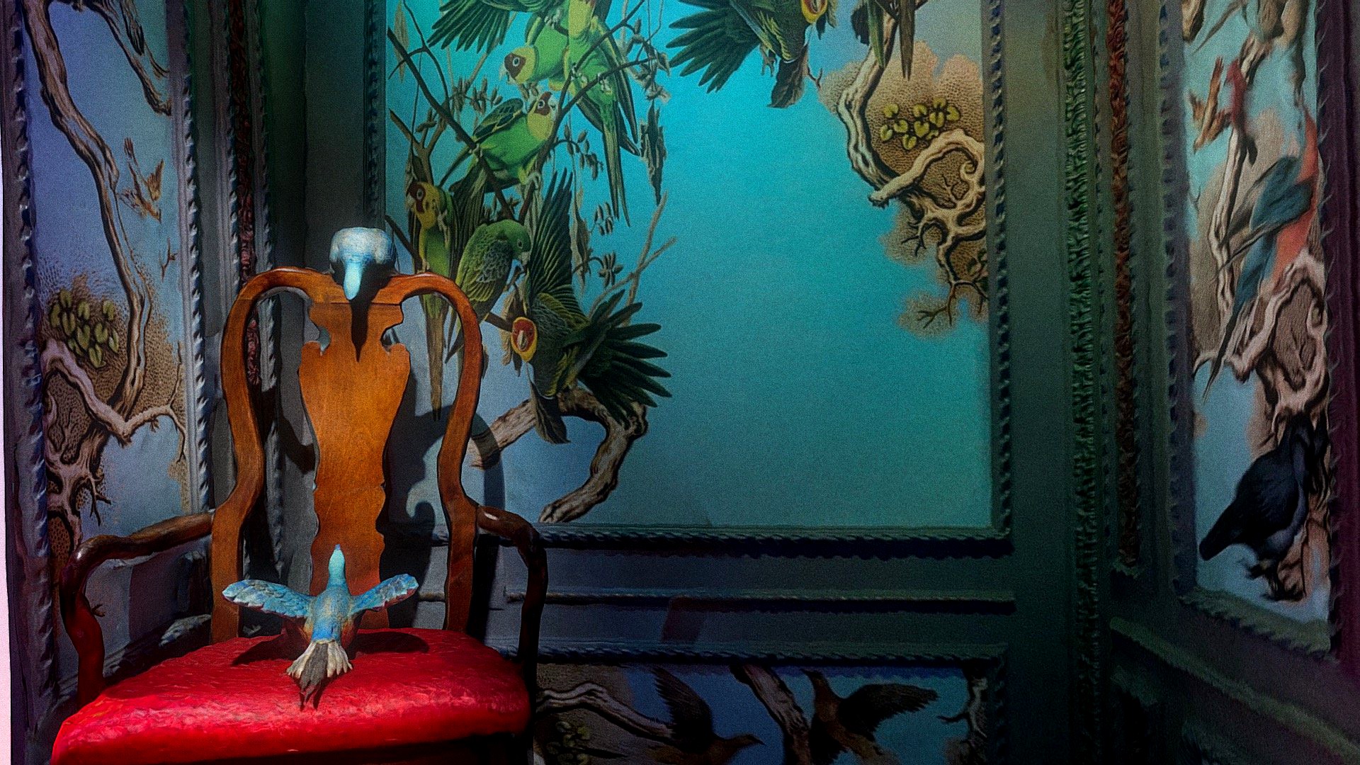 Day 050: Parrot Mural