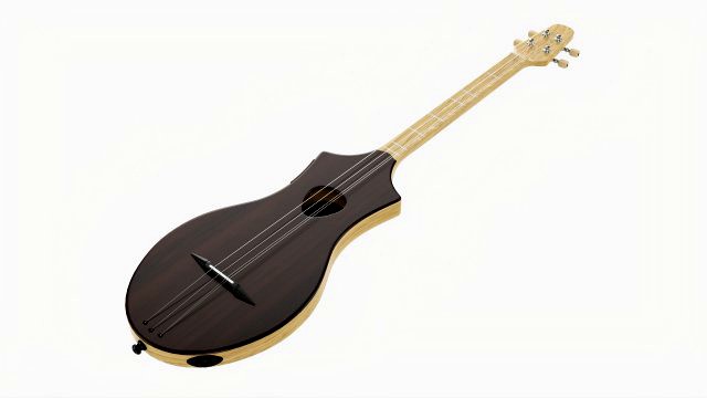 Acoustic 4-String Instrument 02