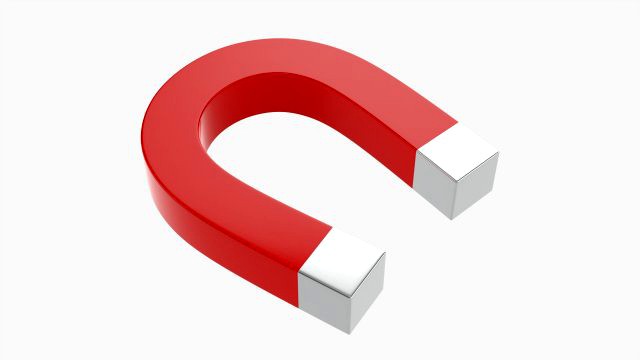 Horseshoe Magnet
