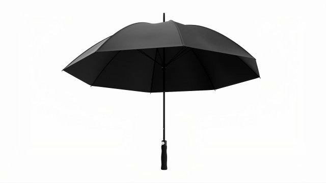 Large Automatic Umbrella Black