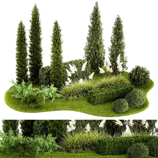 Garden of thuja and cypress trees with pampas grass bushes 1152