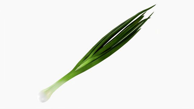 Spring Onions 04