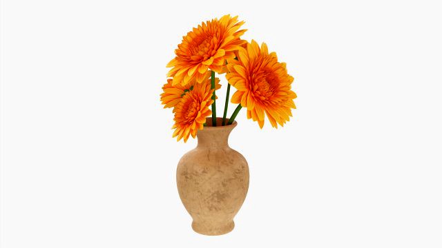 Gerbera In Vase V1