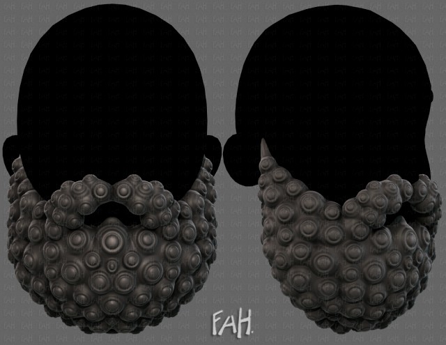 Beard V41