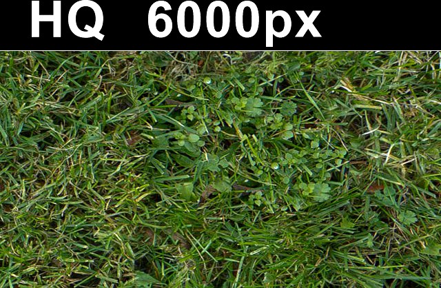 Grass Lawn 5 Seamless Map High Res 3D Model