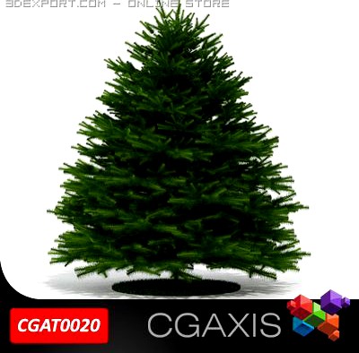 Evergreen Tree Fir CGAXIS 20 3D Model