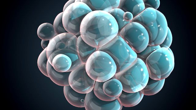 Cells Division Alembic Sequence