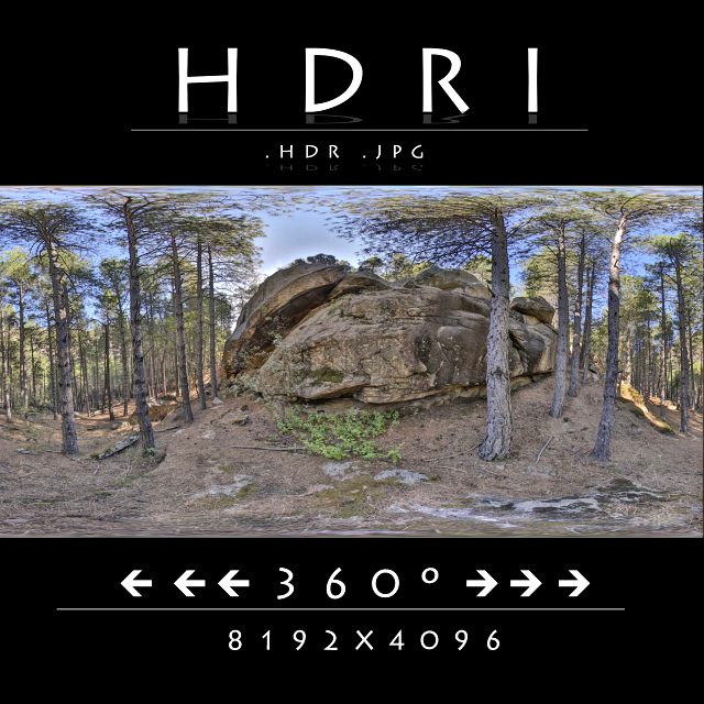hdr forest rock 1