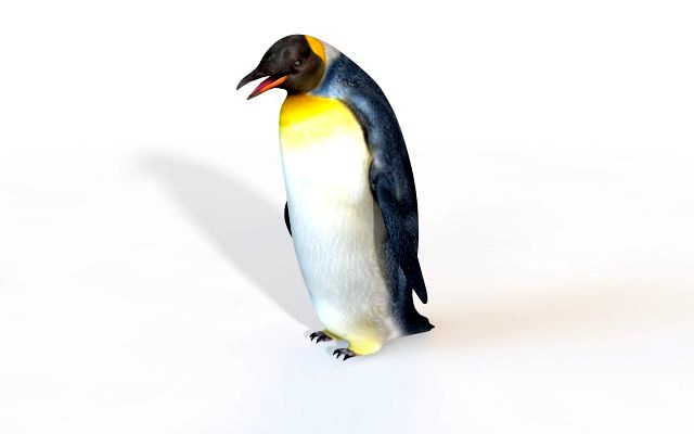 penguin rigged animal