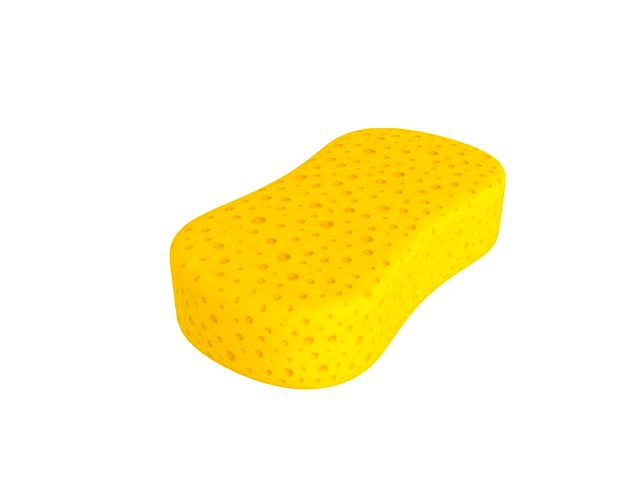 sponge
