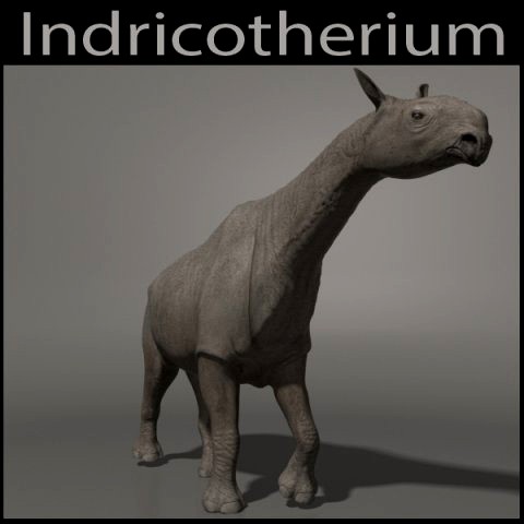 indricotherium 3d - pre-historic mammal