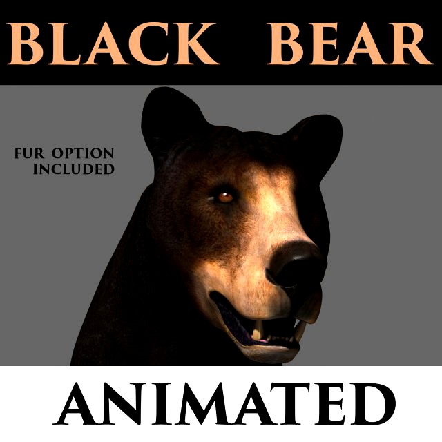 3d animated black bear