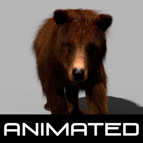 3d animated wild bear