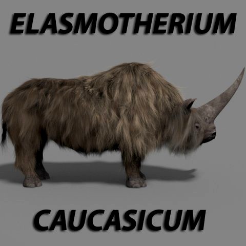 3d wooly elasmotherium rhino