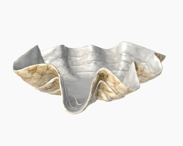 clam shell bowl