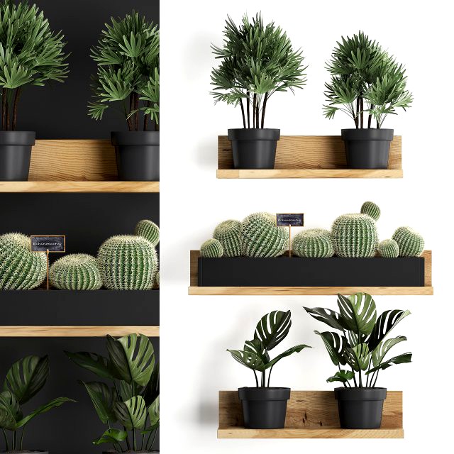 plant set wall decor vertical garden 51