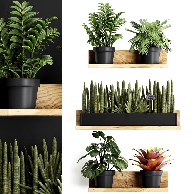 plant set wall decor vertical garden 401