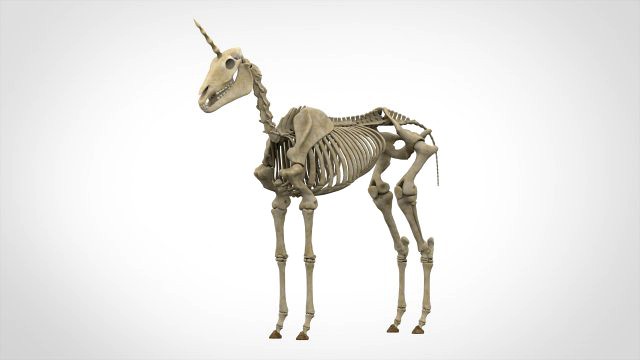 unicorn skeleton