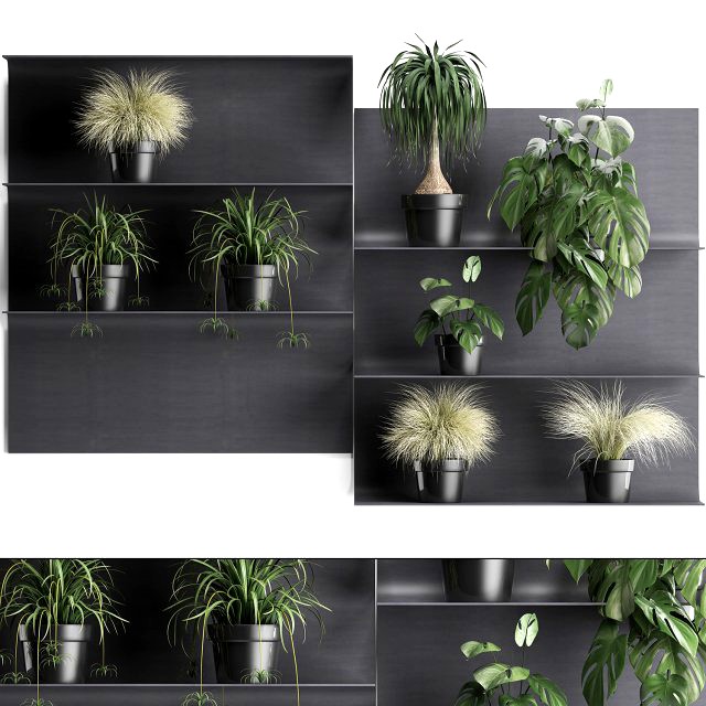 plant set wall decor vertical garden 49