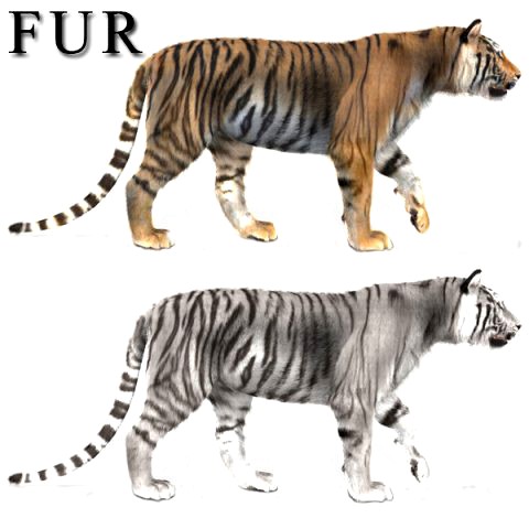 professional cgi tiger fur