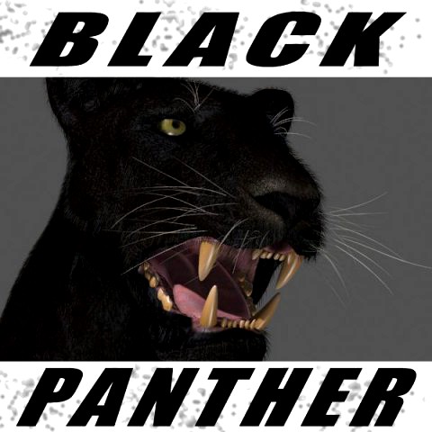 black panther