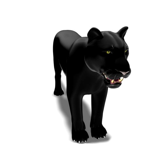 feline panther