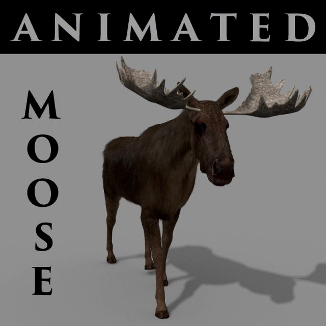 virtual moose