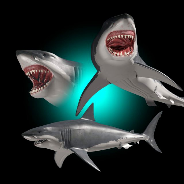 jaws - 3d animated great white shark