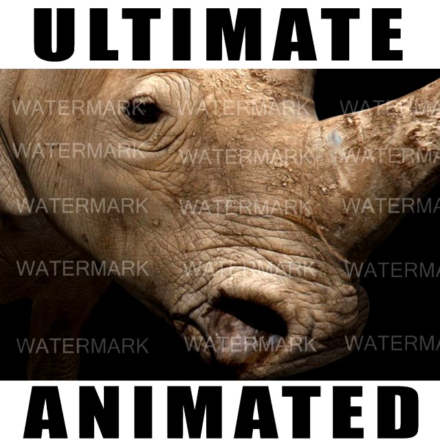 the ultimate rhino