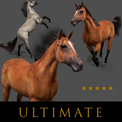 ultimate horse collection