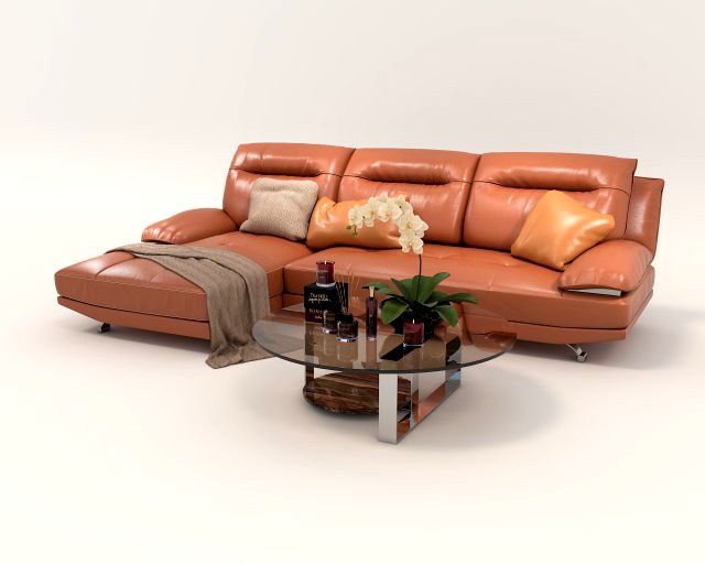 Modern Sofa and Coffee Table 3