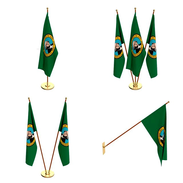washington flag pack