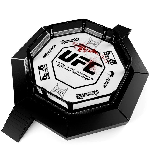 ufc fighting arena