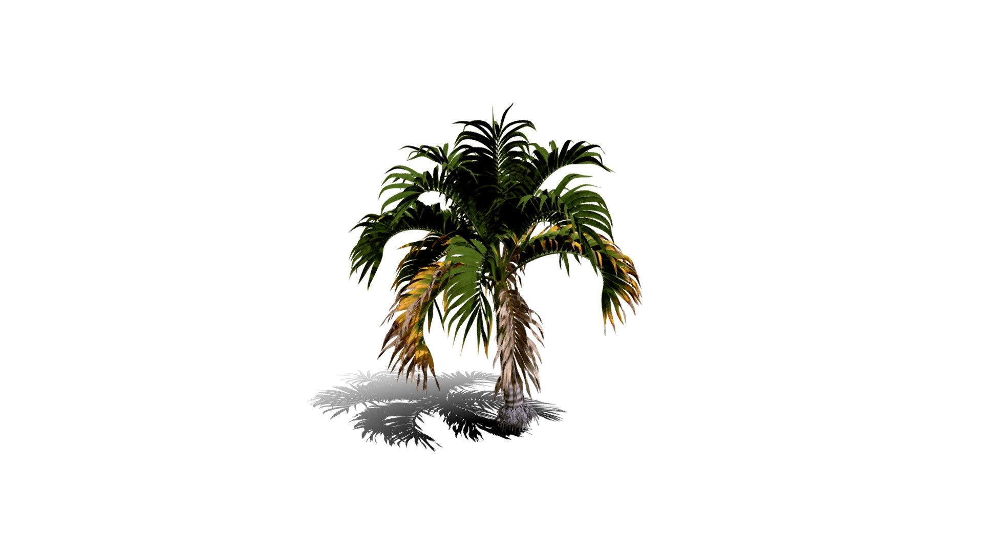 Realistic HD Christmas palm (11/35)