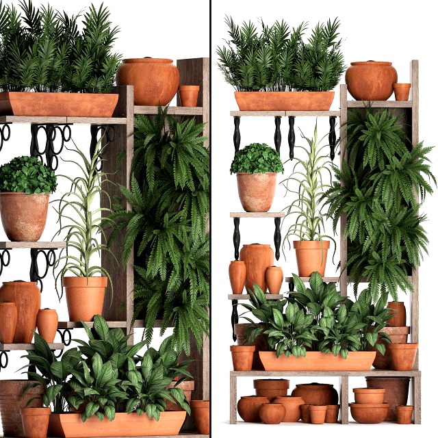 plants collection vertical gardening 27 2