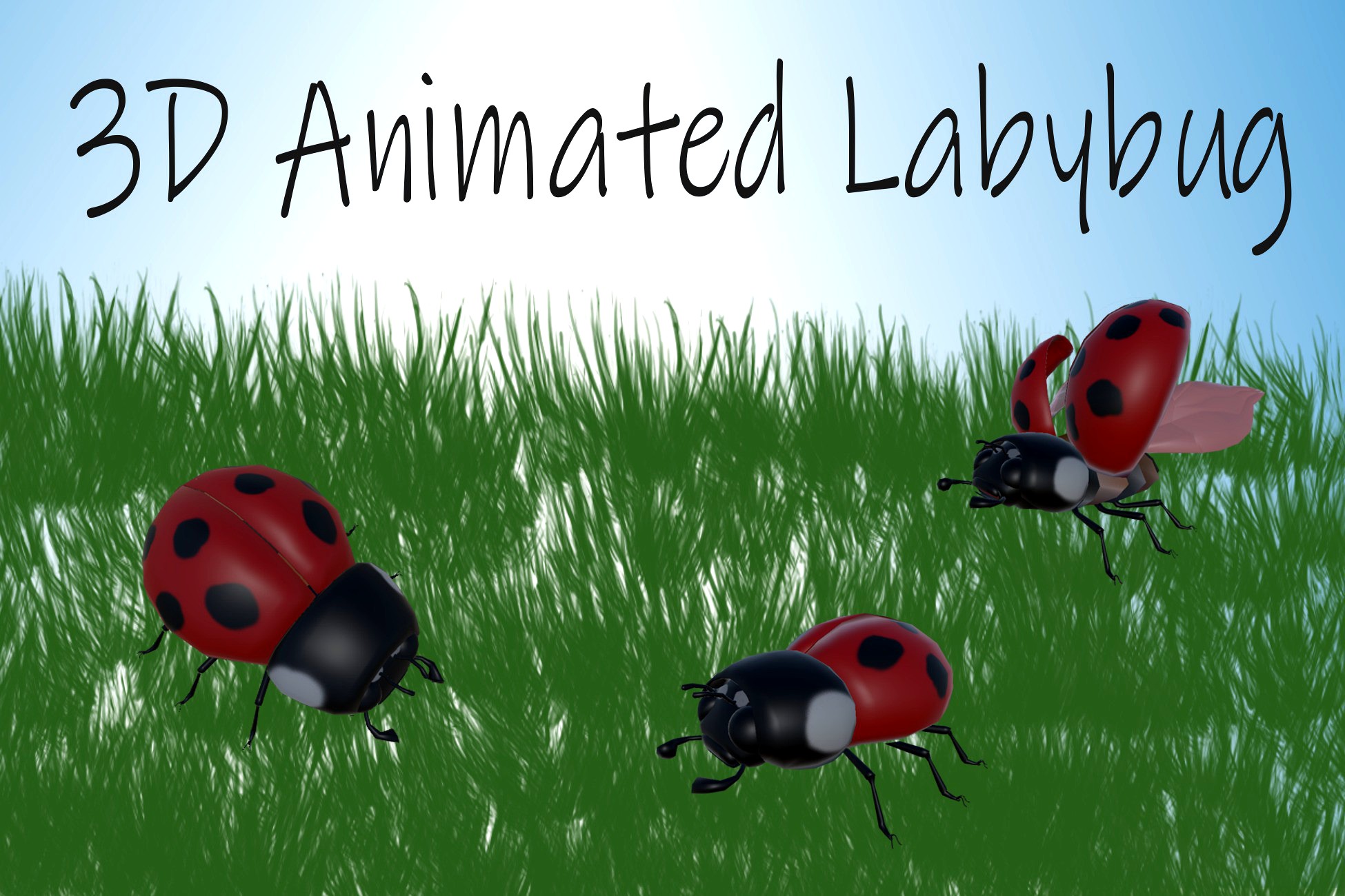 3D Animated Ladybug