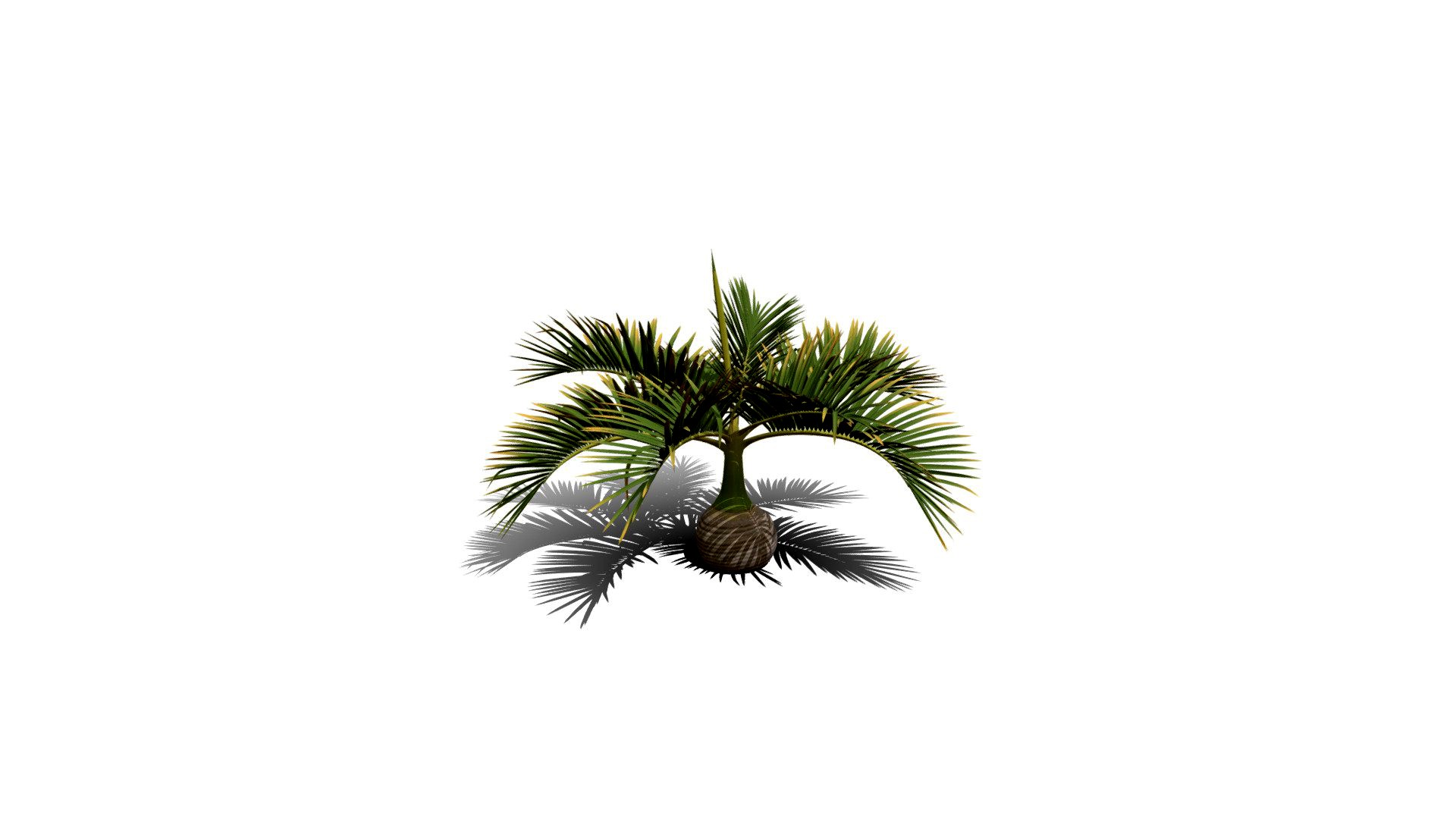 Realistic HD Bottle palm (12/15)