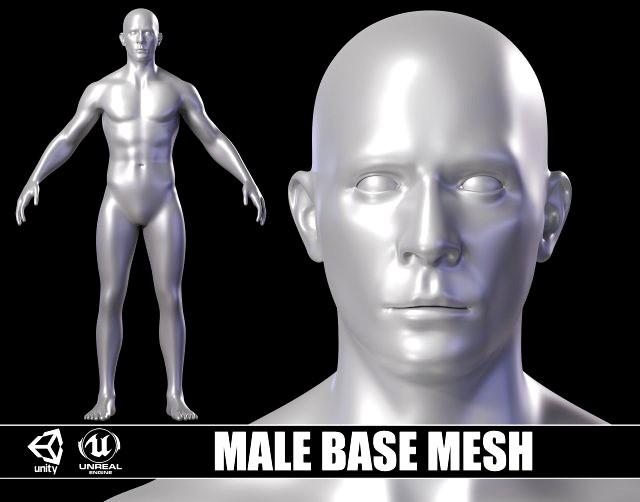 Realistic Athletic Man Body Base Mesh