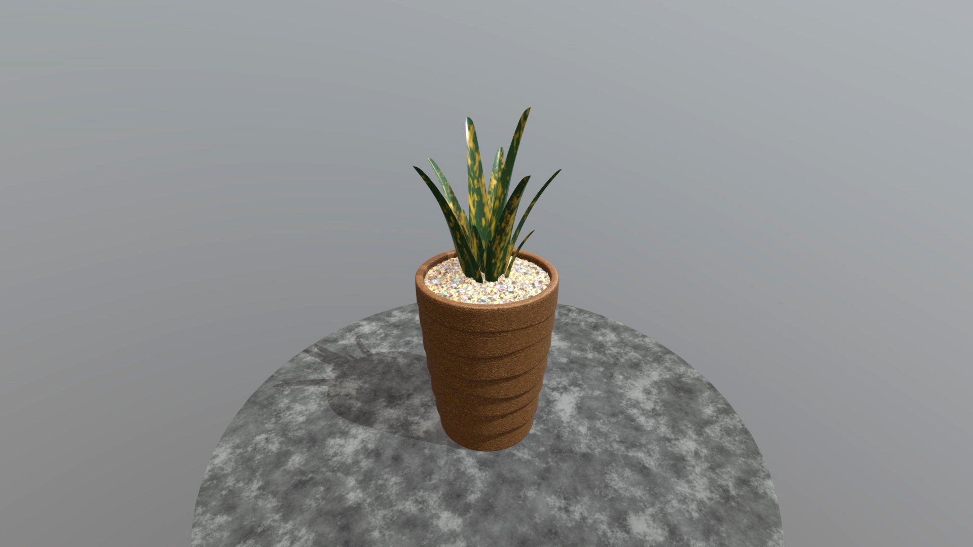 Garden Plant