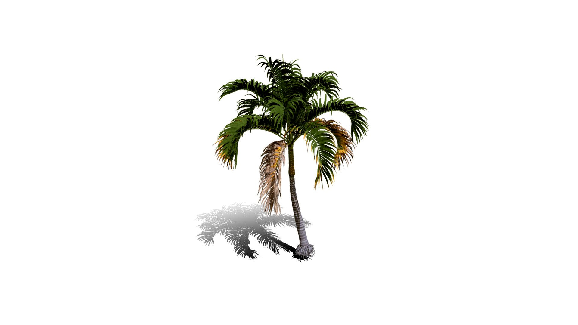Realistic HD Christmas palm (12/35)