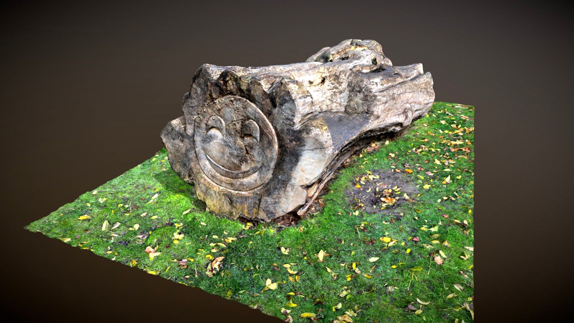 Tree bench