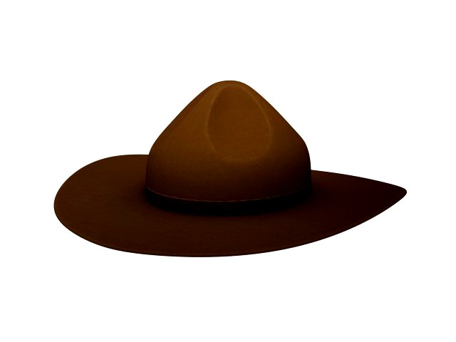 drill sergeant hat