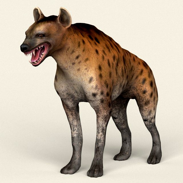 low poly realistic hyena