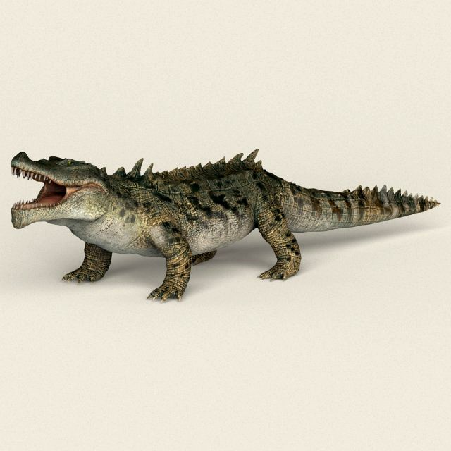 low poly realistic crocodile