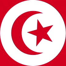 Tunisia flag 3D Model