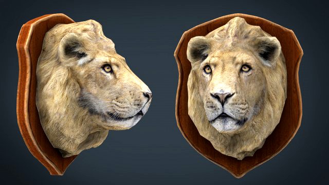 lion trophy