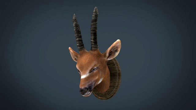 african antelope mount