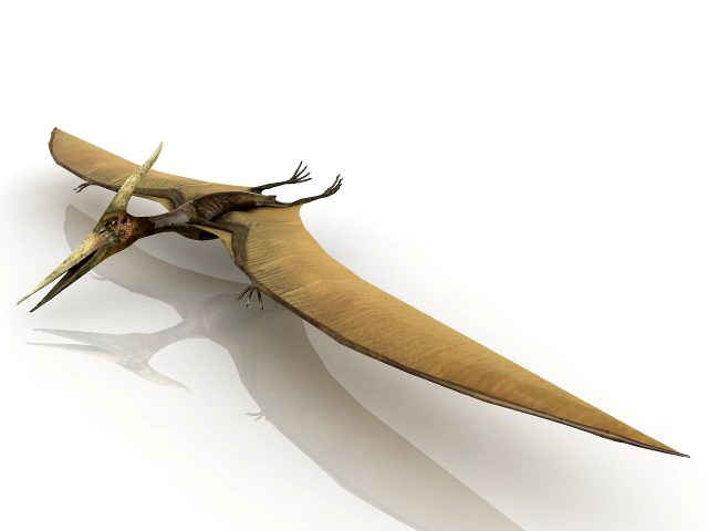 pterodactyl