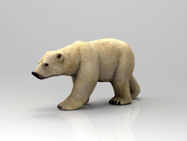 polar bear