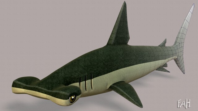 shark v02
